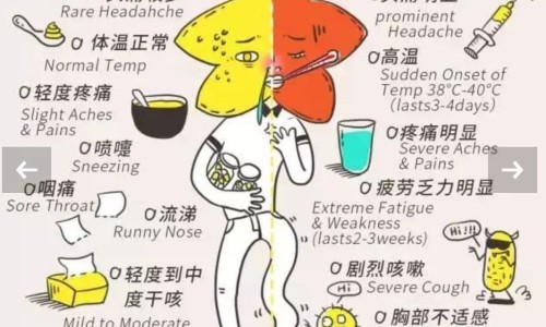 古方舒耳茶能治耳鸣吗-对古方舒耳茶没有效果-专业古方舒耳茶能治耳鸣吗平台-对古方舒耳茶没有效果吗